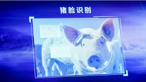 华为种地，阿里养猪 科技公司搞养殖都缺不了AI